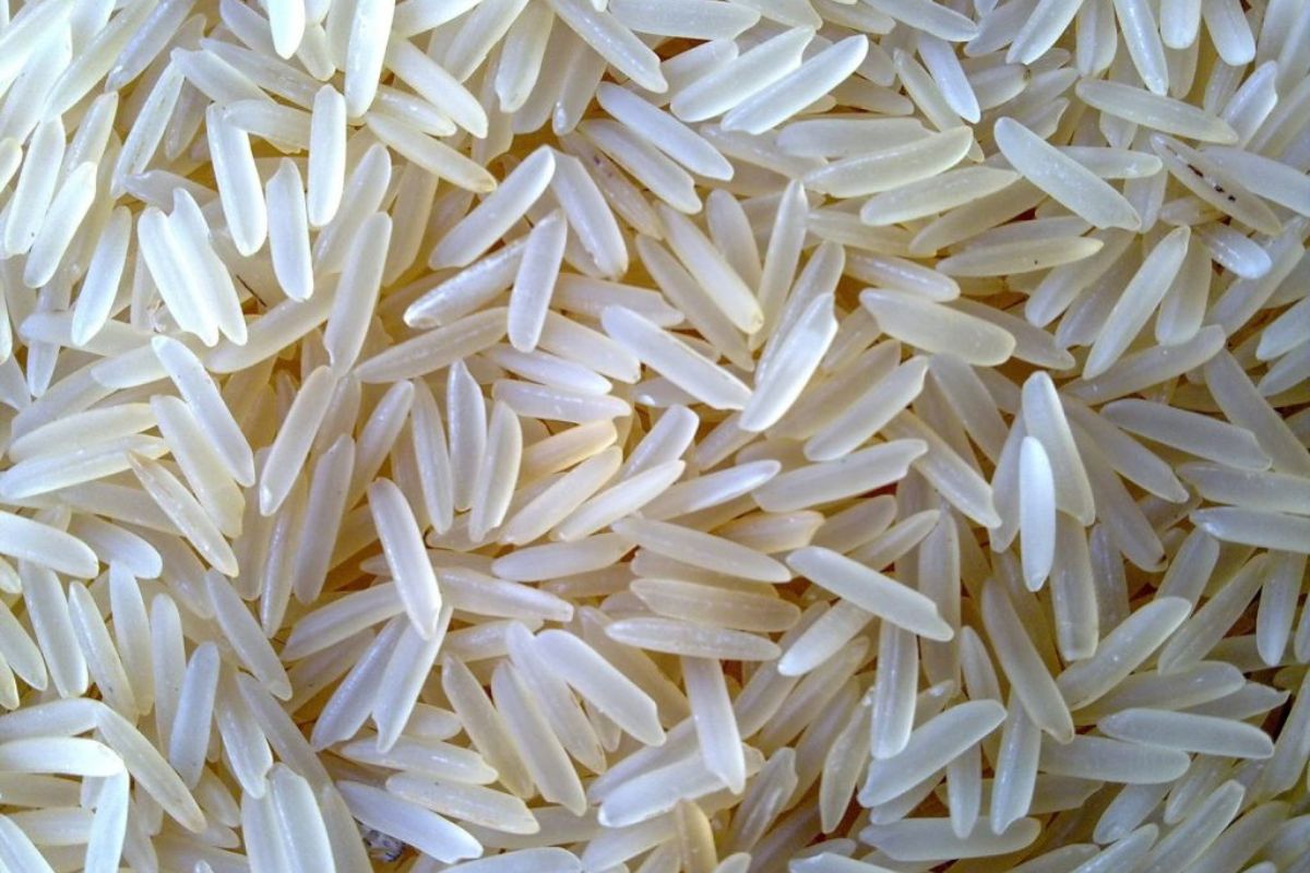 Untitled design - 2026-02-02T163344.801