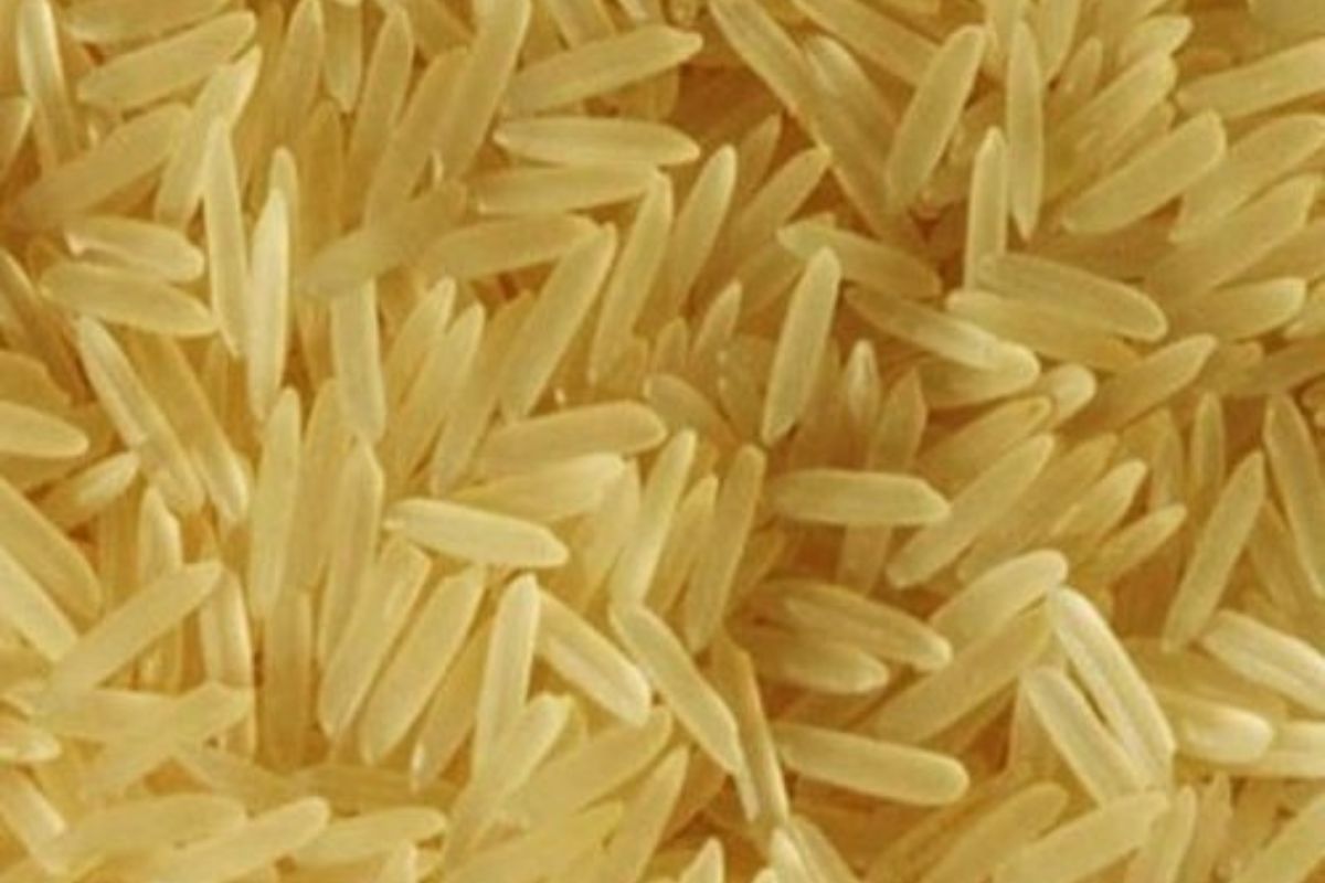 Untitled design - 2026-02-02T163358.544