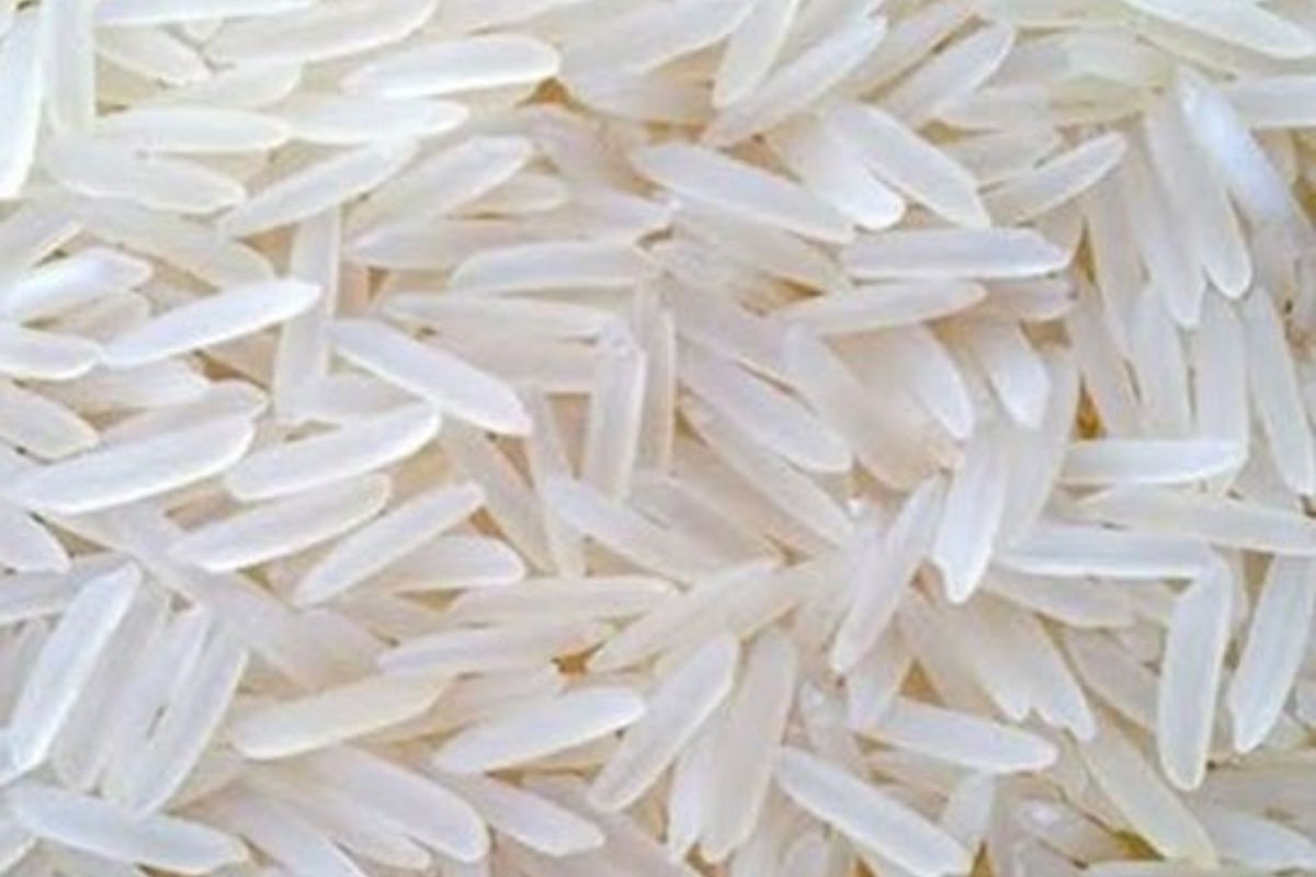 Untitled design - 2026-02-02T163407.171