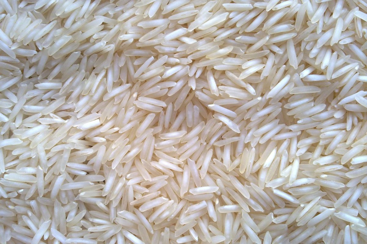 Untitled design - 2026-02-02T163417.213