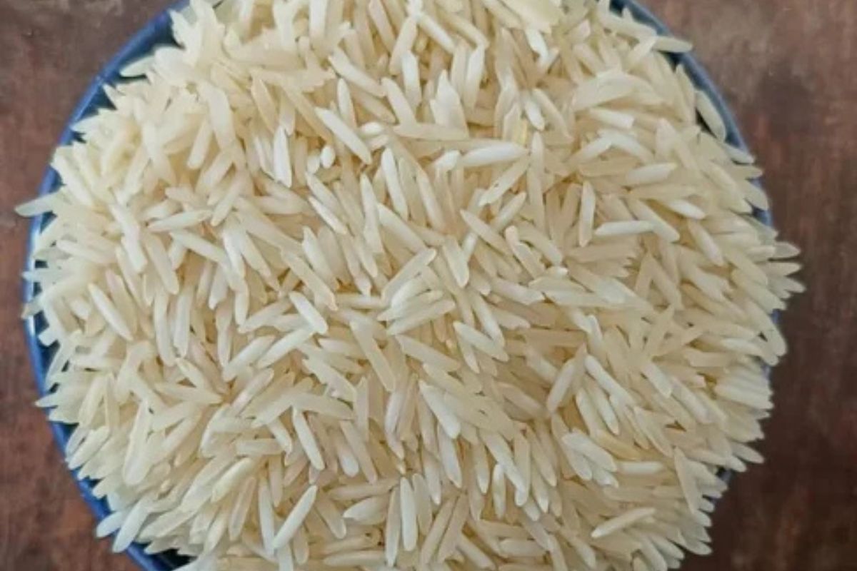 Untitled design - 2026-02-02T163850.505