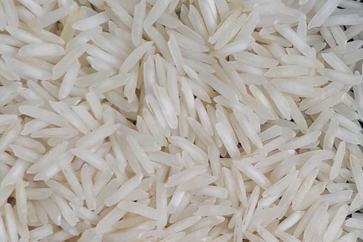 Untitled design - 2026-02-02T163909.698