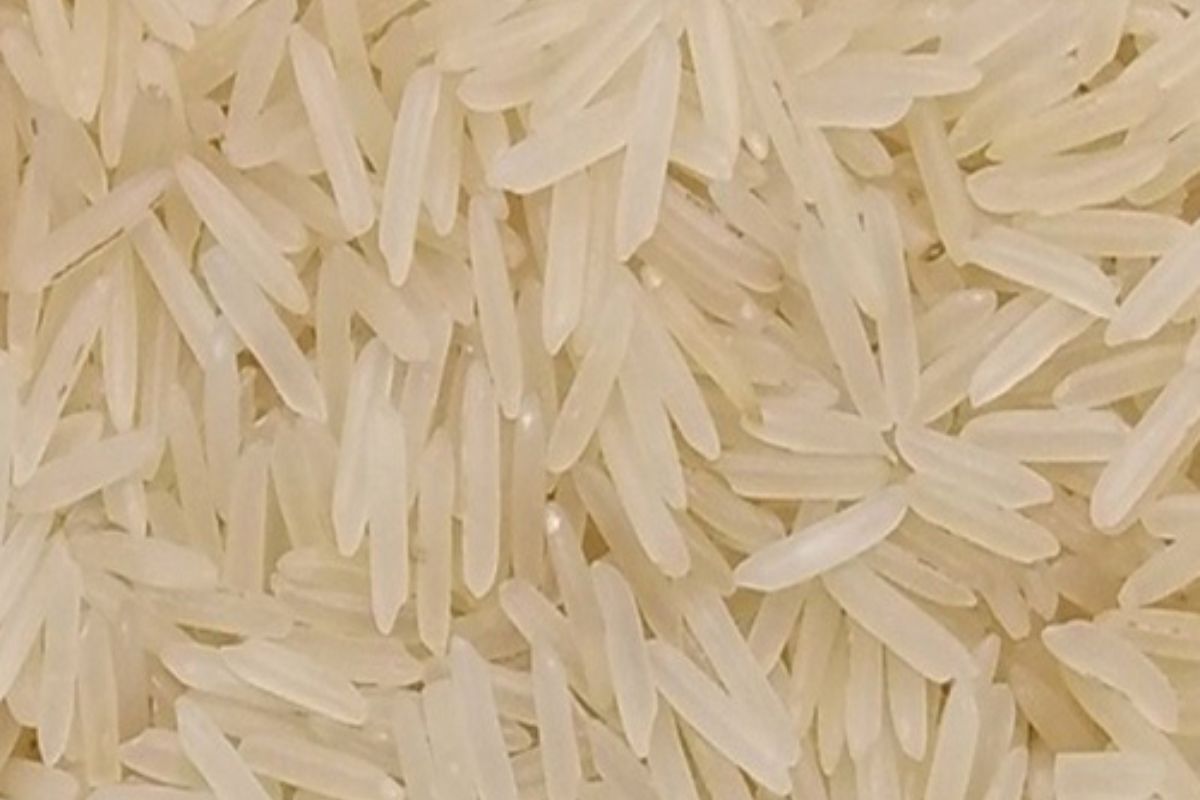 Untitled design - 2026-02-02T164317.890