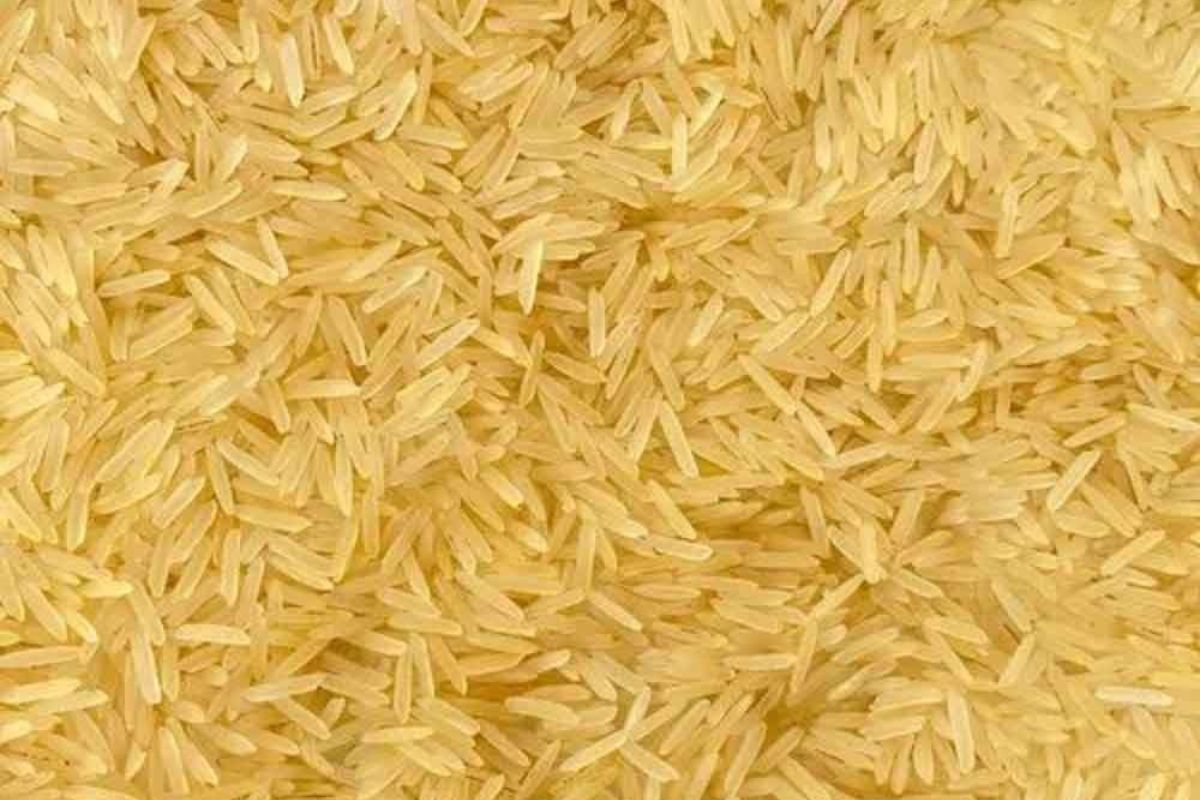 Untitled design - 2026-02-02T164335.493