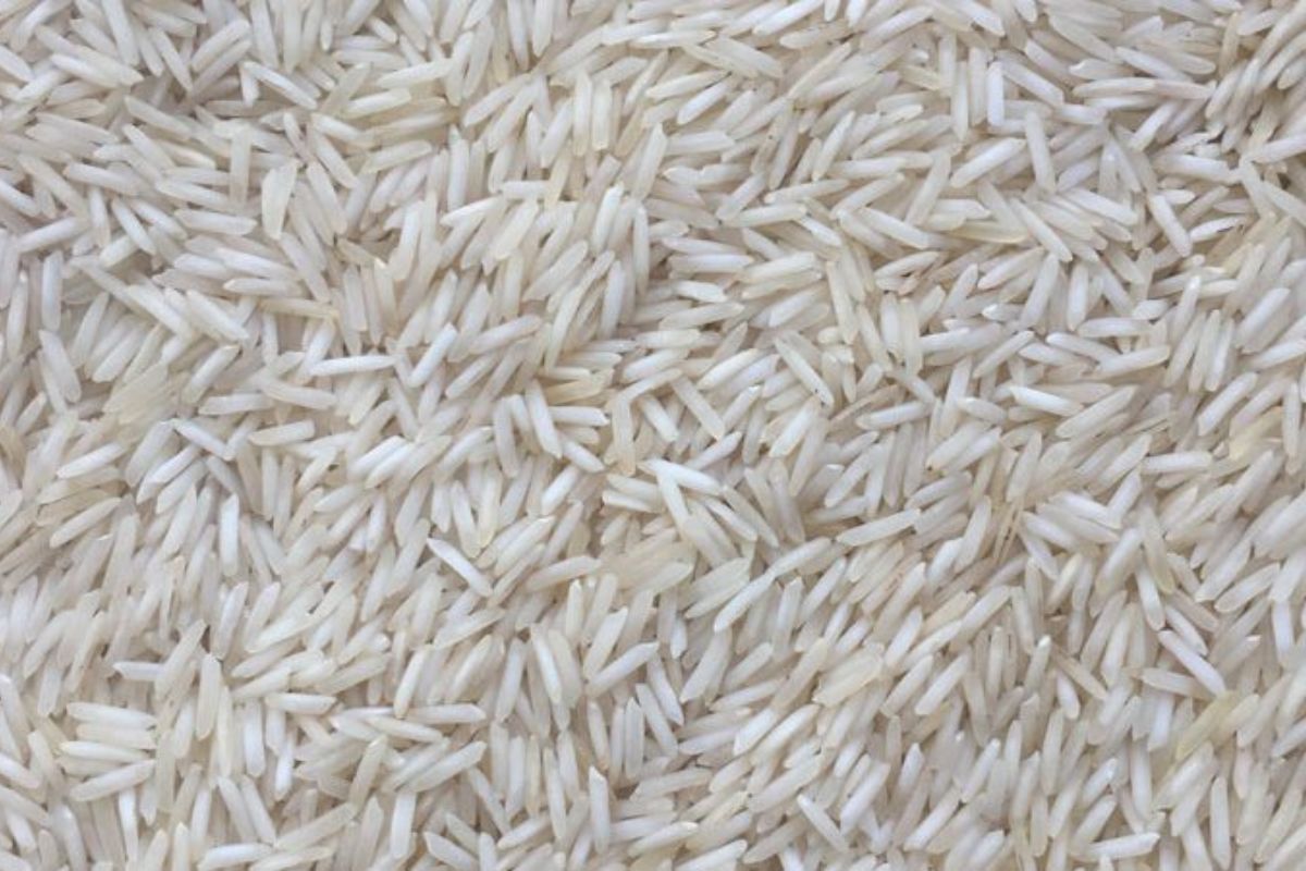 Untitled design - 2026-02-02T164346.625