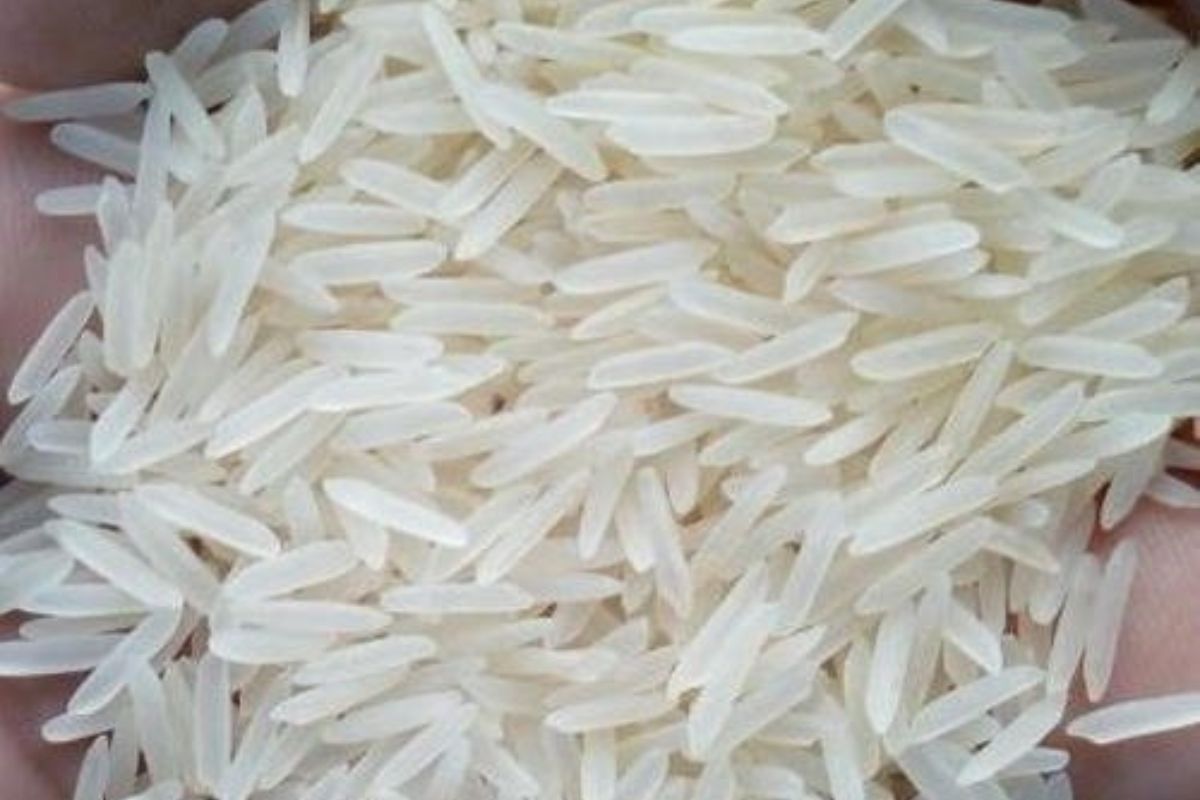 Untitled design - 2026-02-02T164356.653