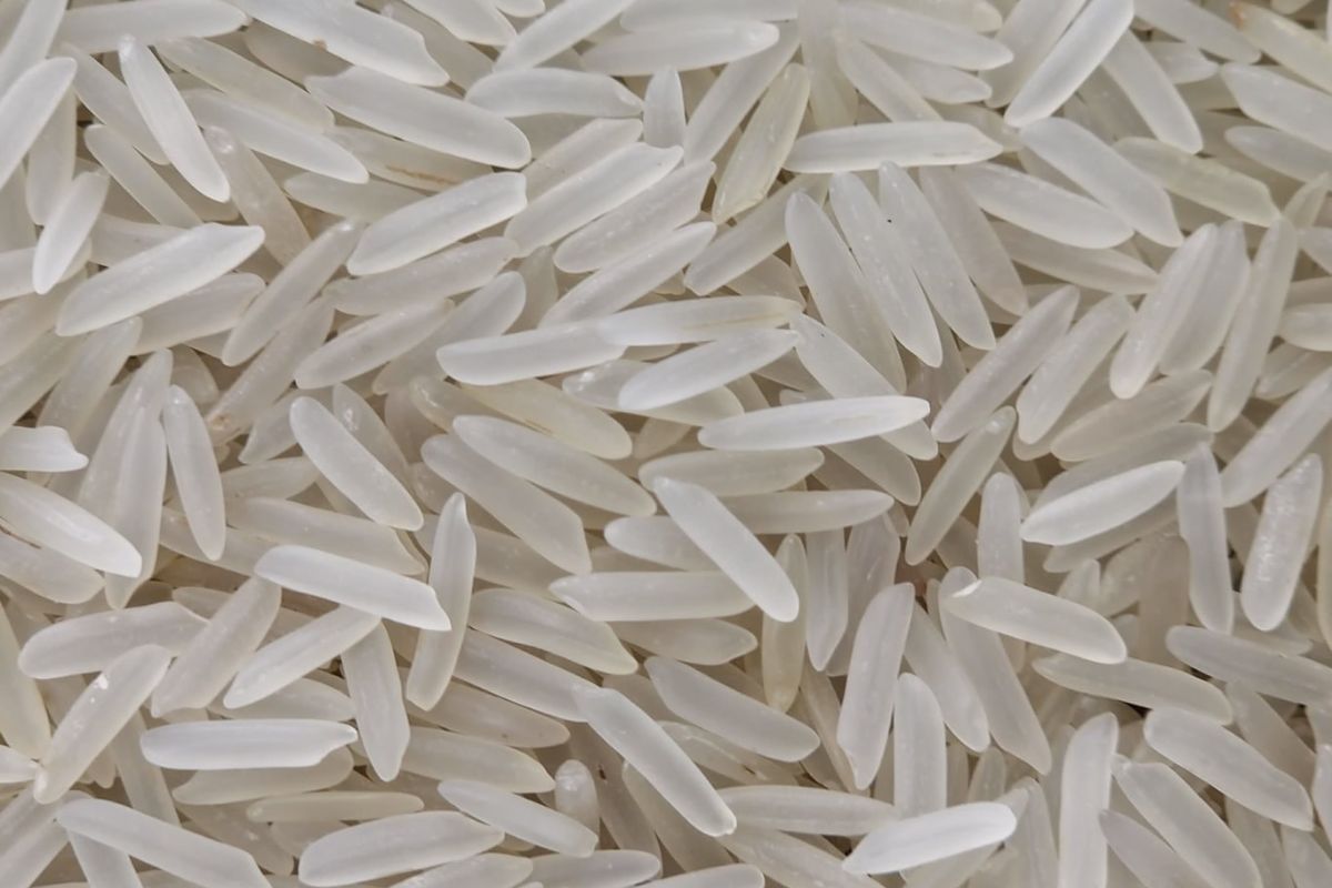 Untitled design - 2026-02-02T164701.242