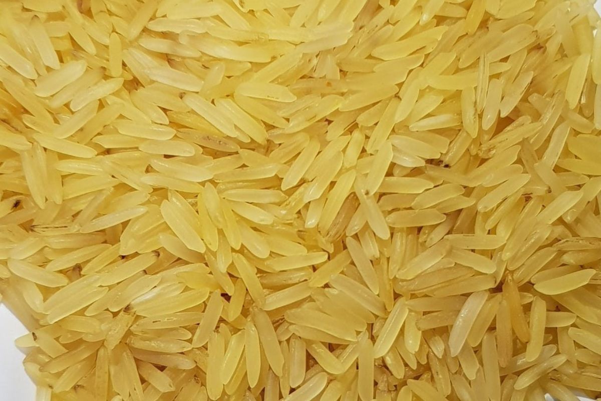 Untitled design - 2026-02-02T164711.552