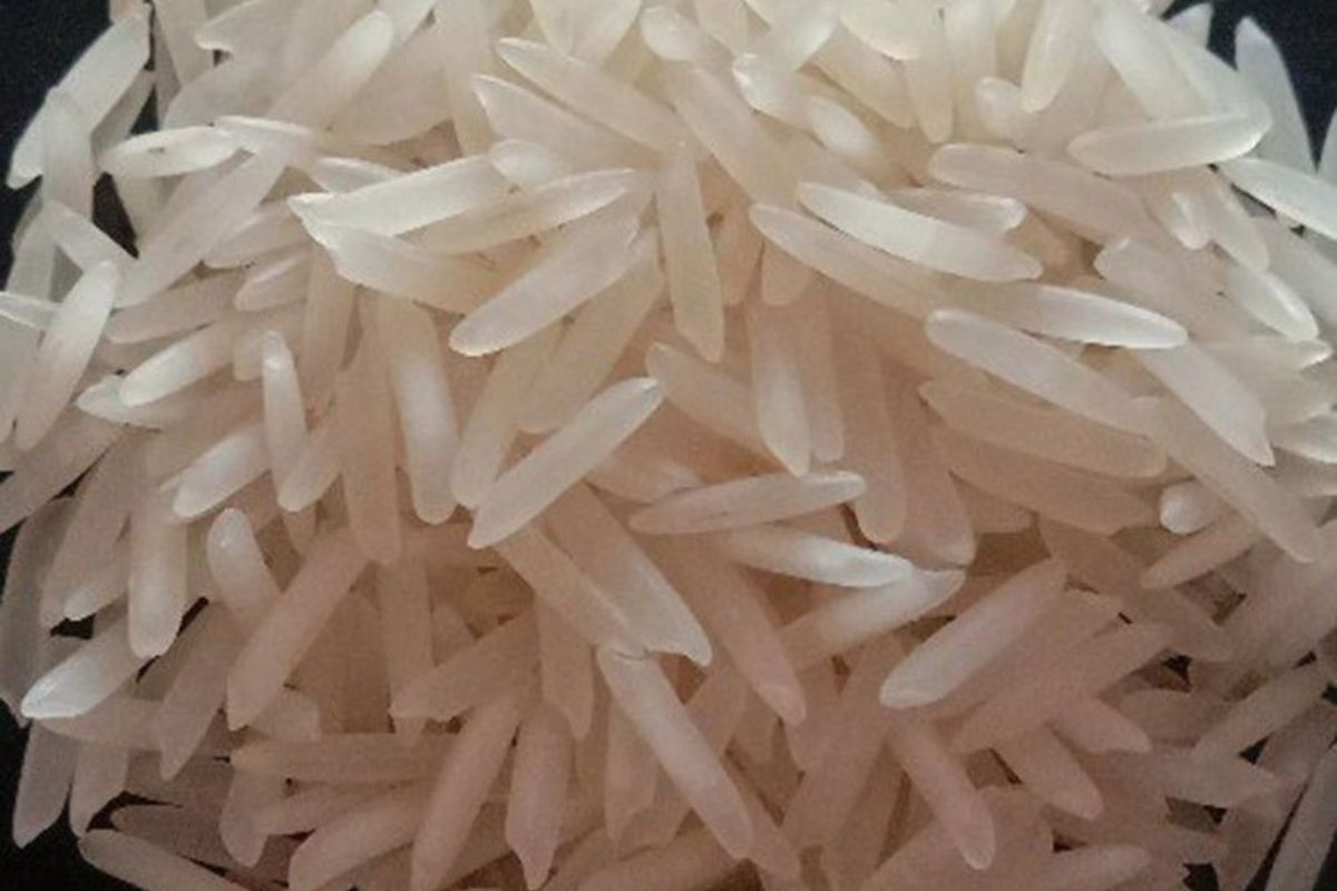 Untitled design - 2026-02-02T164723.437