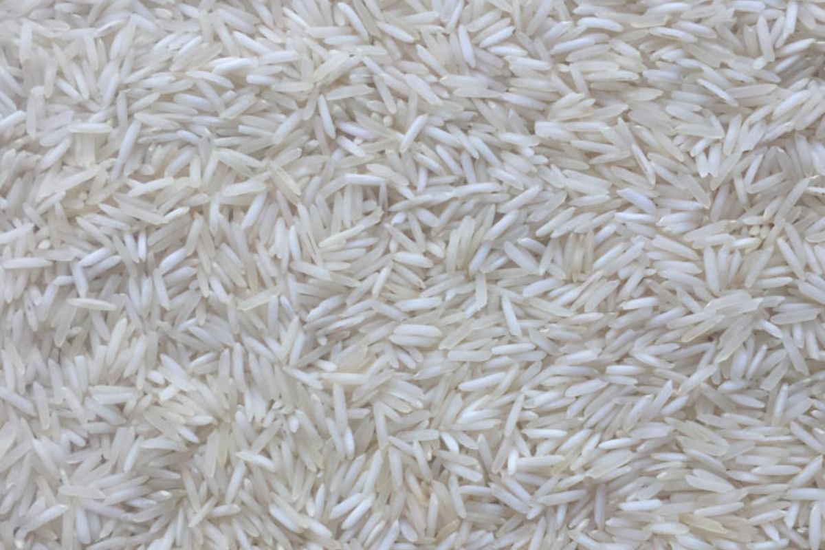 Untitled design - 2026-02-02T164734.022