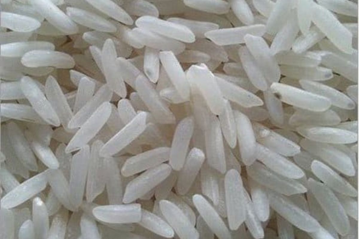 Untitled design - 2026-02-02T171437.792