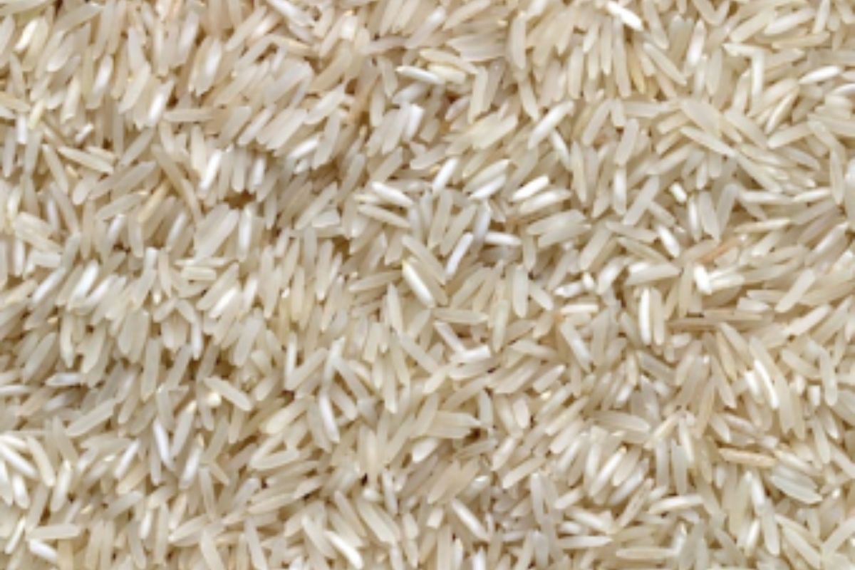 Untitled design - 2026-02-02T171449.846