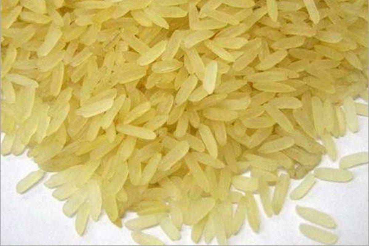 Untitled design - 2026-02-02T172951.479