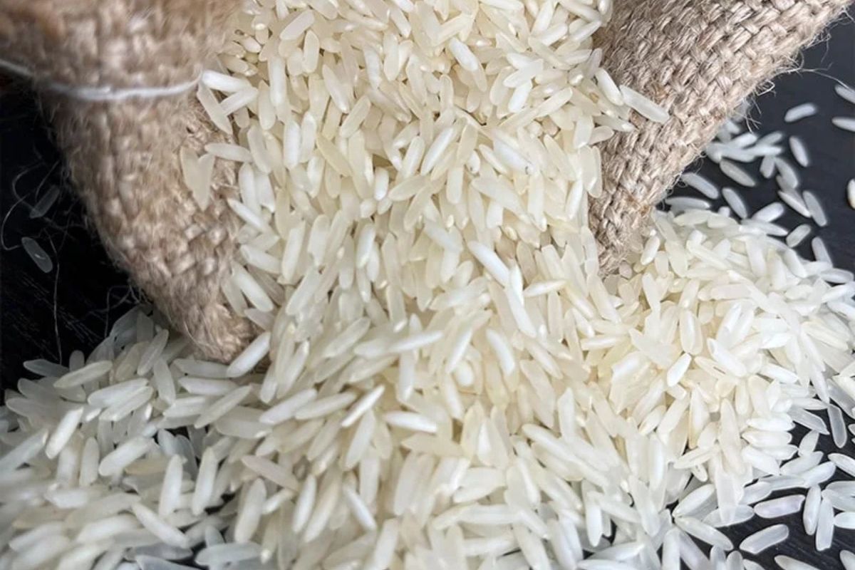 Untitled design - 2026-02-02T173004.207