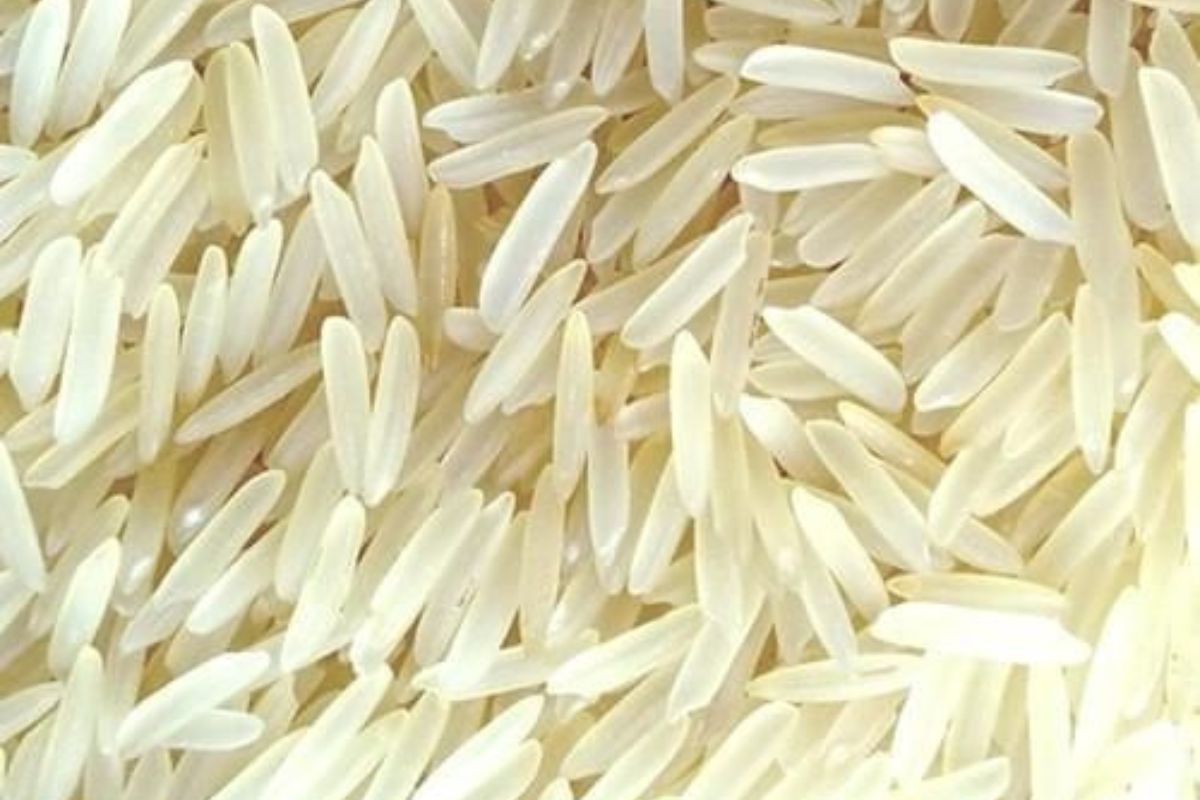 Untitled design - 2026-02-02T173016.111