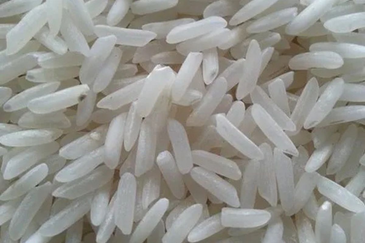 Untitled design - 2026-02-02T173026.228