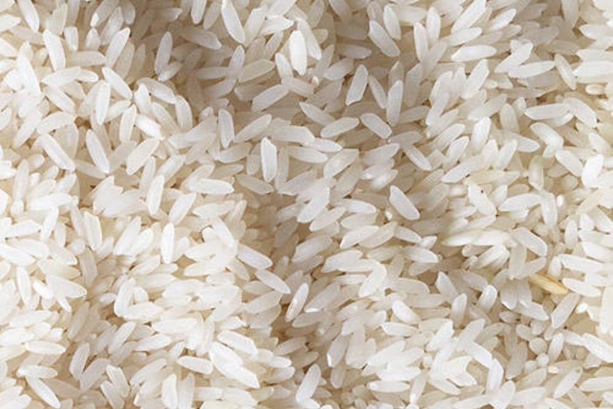 Untitled design - 2026-02-02T173616.573