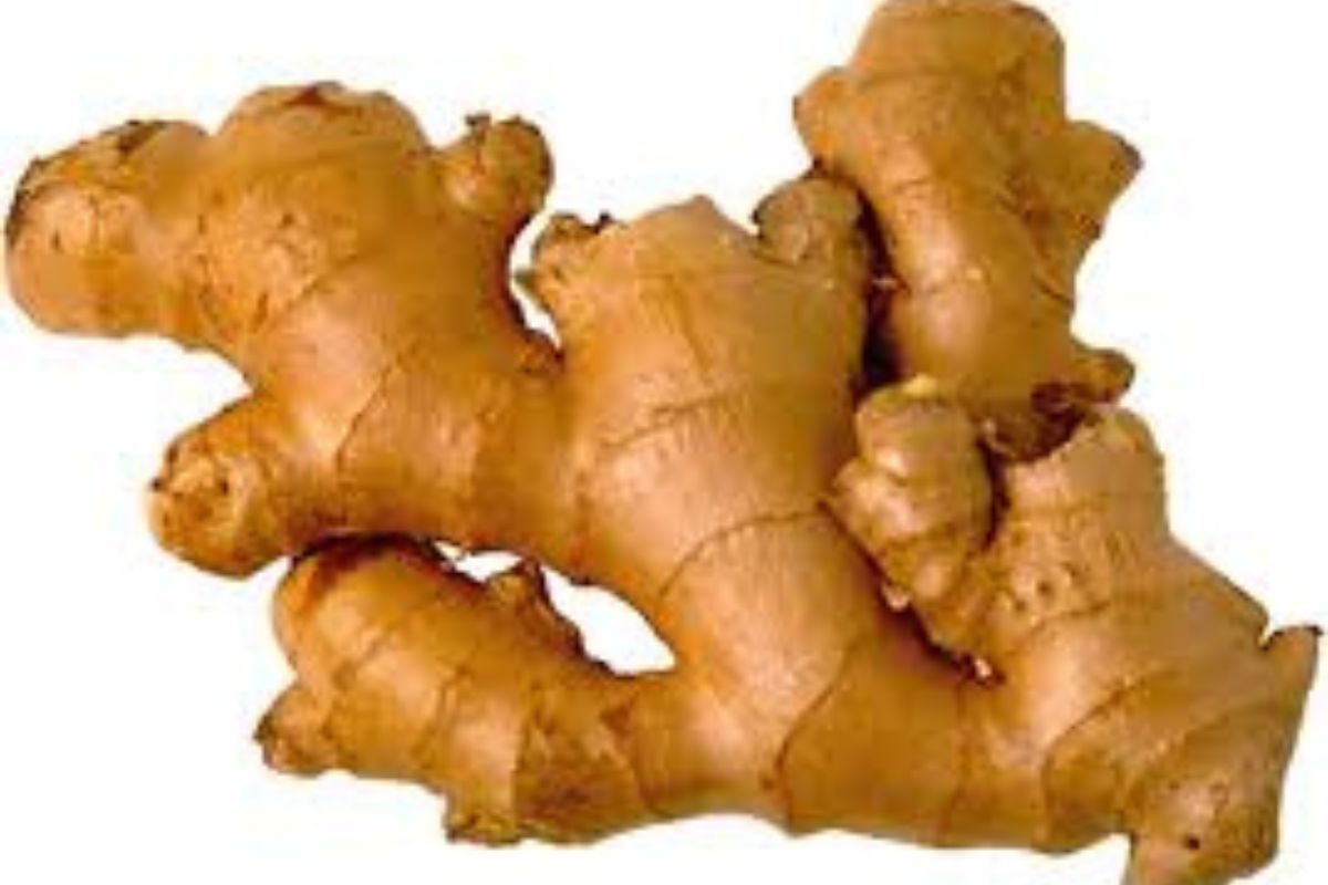 Untitled design - 2026-02-02T182346.573