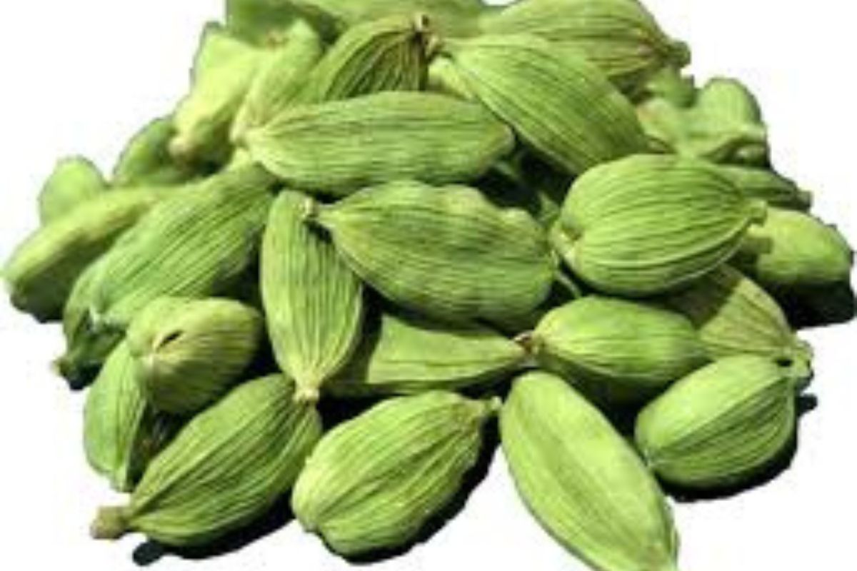 Untitled design - 2026-02-02T182646.382