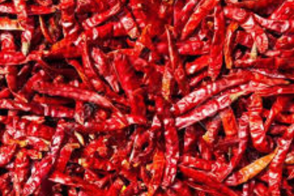 Untitled design - 2026-02-02T183134.715