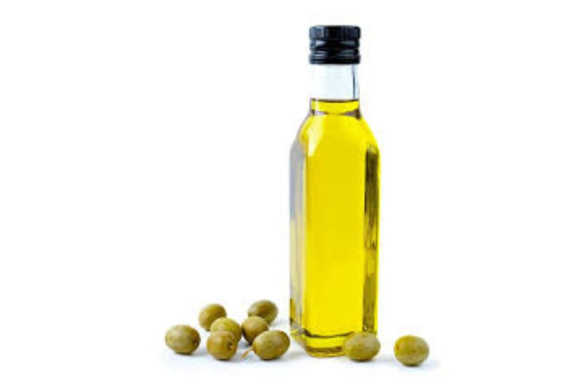 Untitled design - 2026-02-03T102250.701