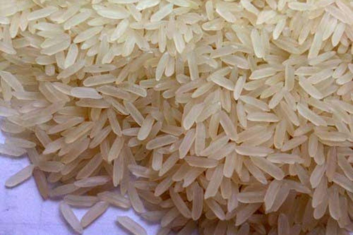 Untitled design - 2026-02-05T121348.809