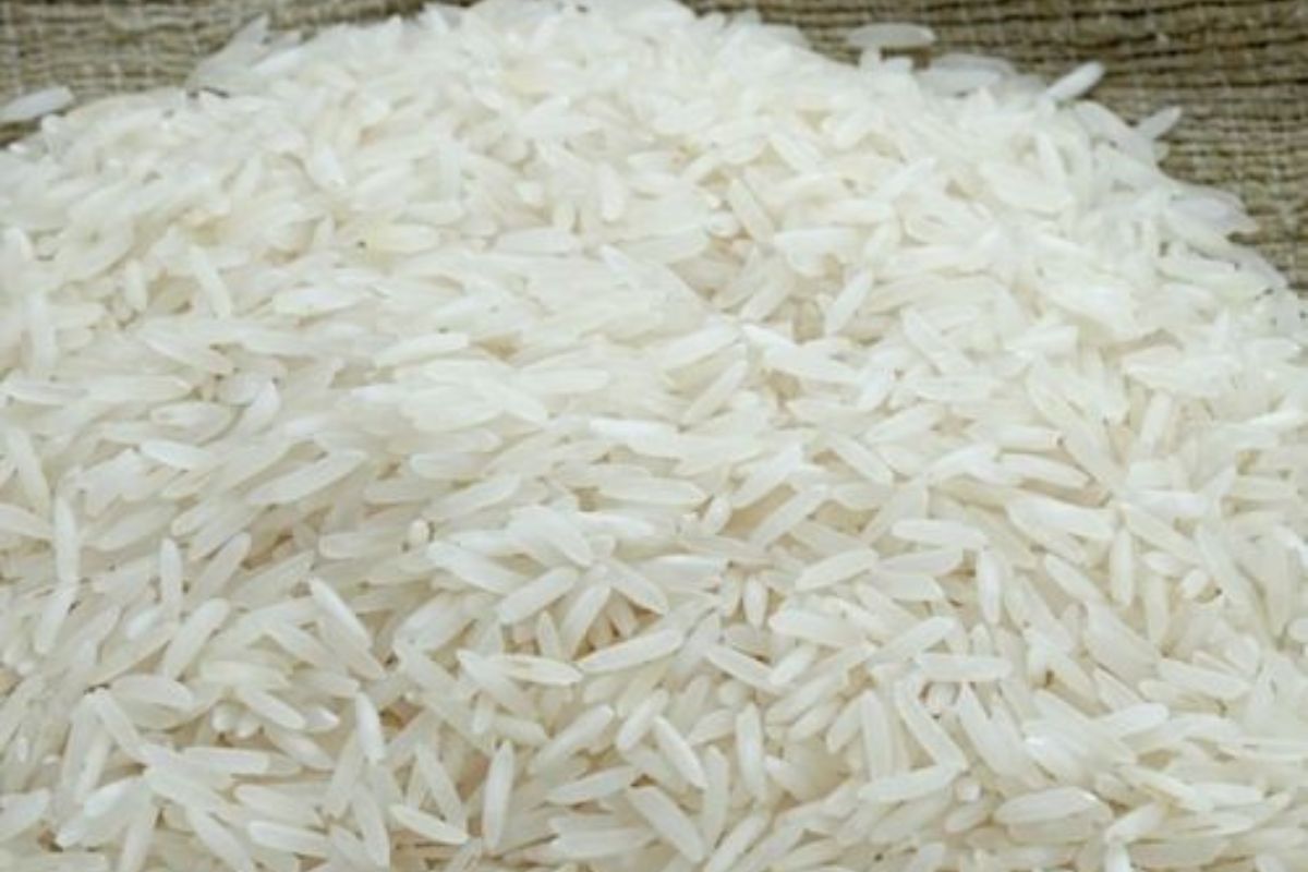 Untitled design - 2026-02-05T121431.258